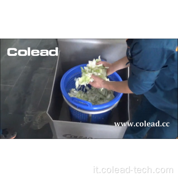 Macchina per asciugatura vegetale industriale